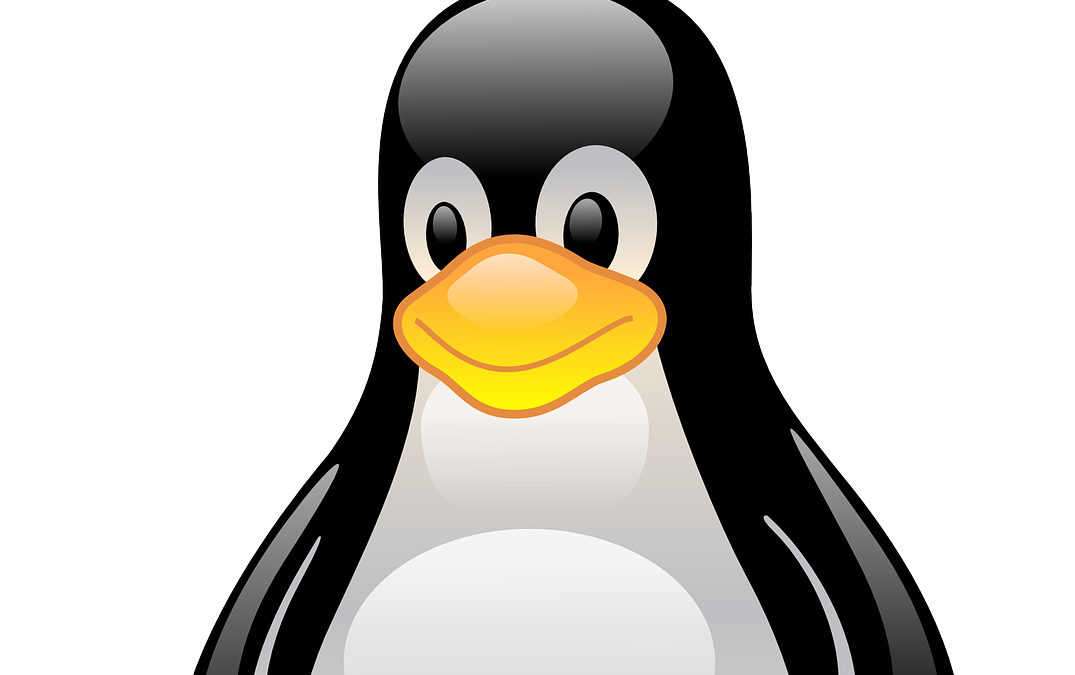 Acceder a escritorio remoto desde Linux